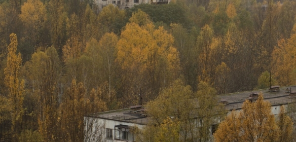Путешествие в Припять: как сейчас выглядит самый известный город-призрак