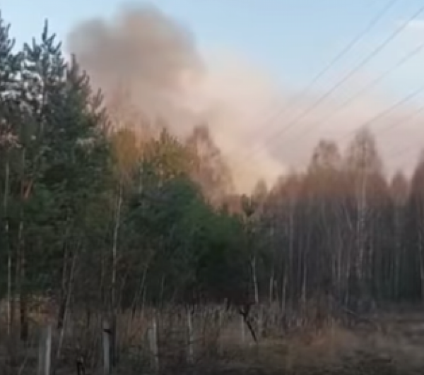 В Зоне отчуждения продолжают ликвидировать масштабный лесной пожар